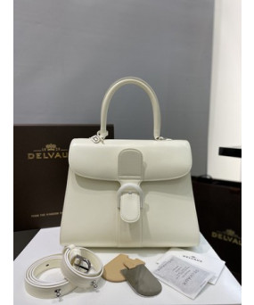 델보 브리앙 박스백 미듐